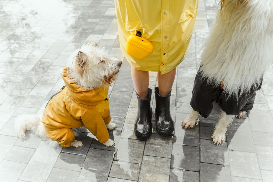 Rainy look : rester stylé sous la pluie